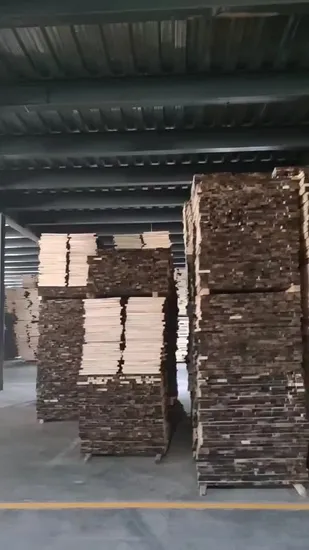 2022 Componenti per persiane per piantagioni di Paulownia di vendita calda